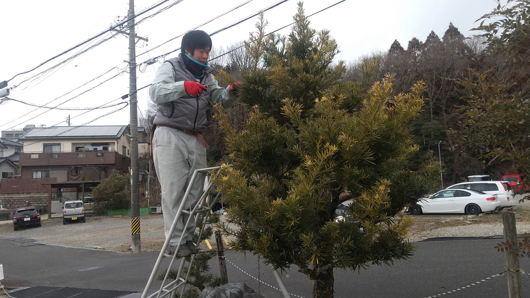 外構工事・エクステリア工事・造園工事は愛知県岡崎市の株式会社愛政造園